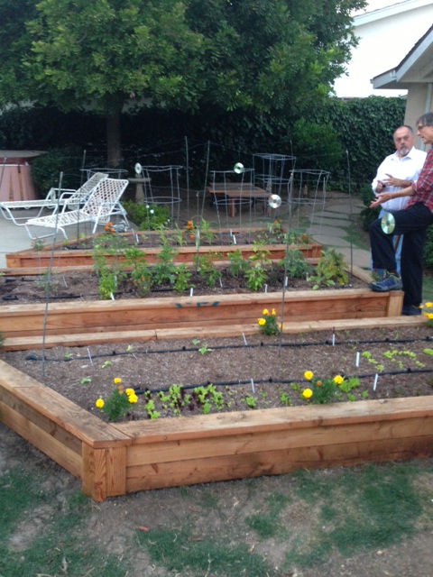 Healthy Italian Supper Club